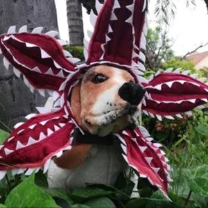 Demogorgon / Demodog Costume for Dog (Hood)